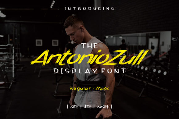Antonio Zull Font: A Bold Choice for Urban Web Design