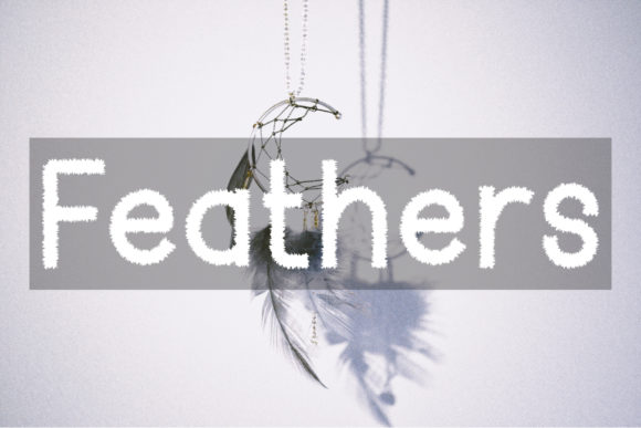 Feather Display Font: Quirky Typography for Digital Design