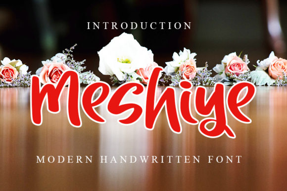 Meshiye: A Playful Font for Editorial Design