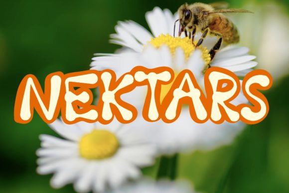 Nektars Display Font for Bold and Friendly Editorial Design